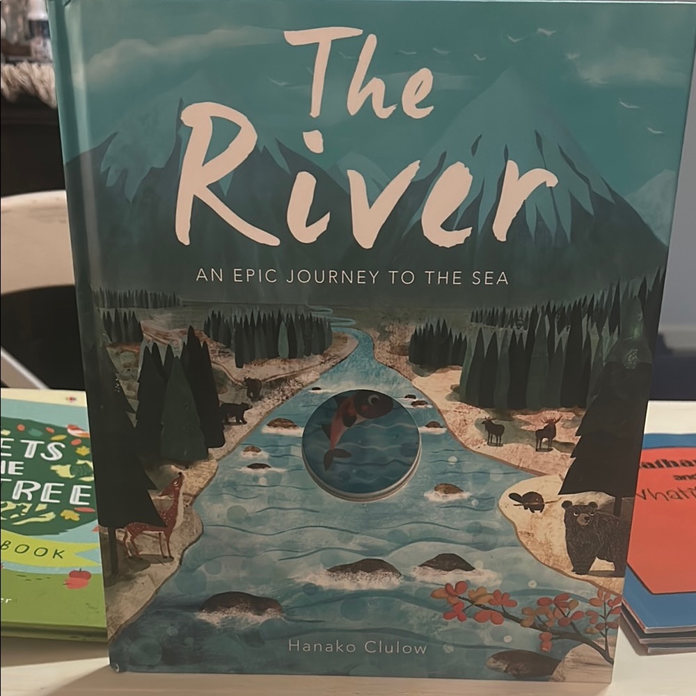 The River: An Epic Journey to the Sea - Illustrated Kids Book